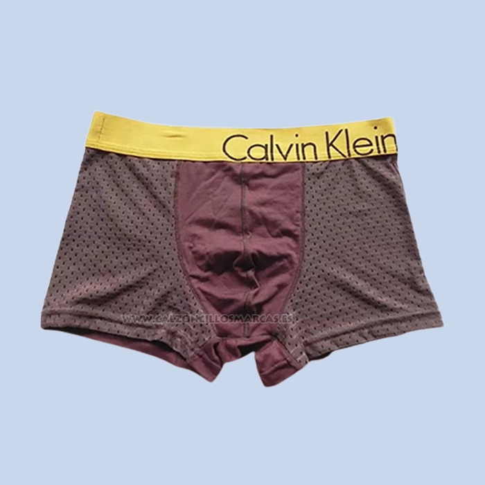 Boxer Calvin Klein Homme Marron